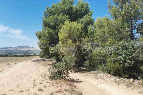 Terra a Biar, Alicante, Biar - € 125.000 | Ref: SF0426 - foto 7